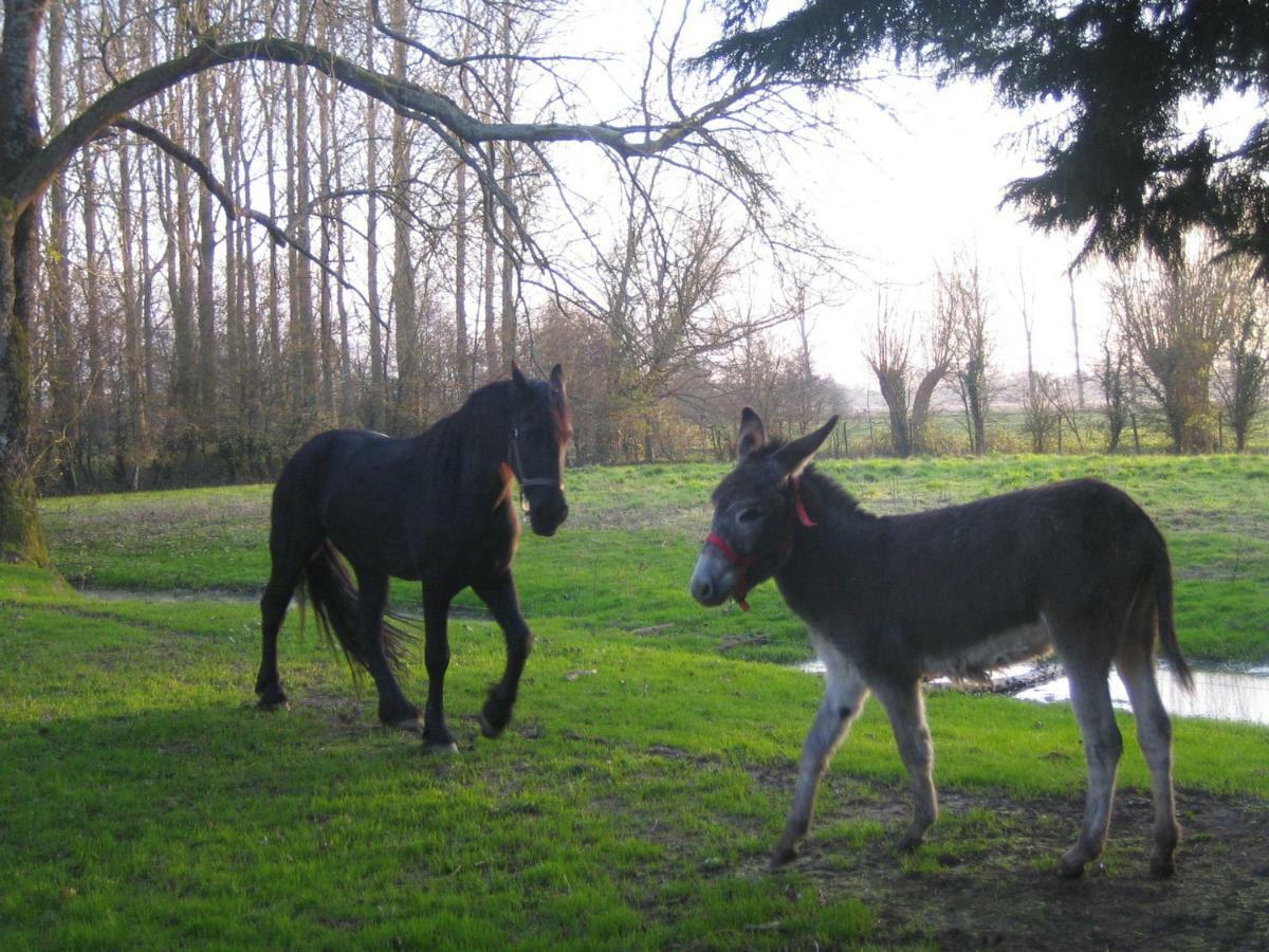 La Ferme De Tigny Βίλα Εξωτερικό φωτογραφία