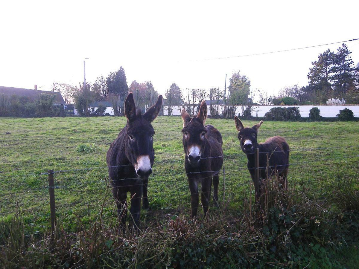 La Ferme De Tigny Βίλα Εξωτερικό φωτογραφία
